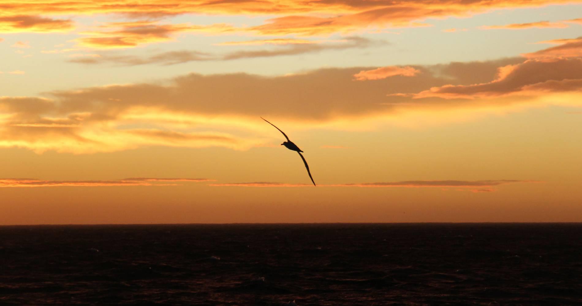 Caring for Our Natural Environment